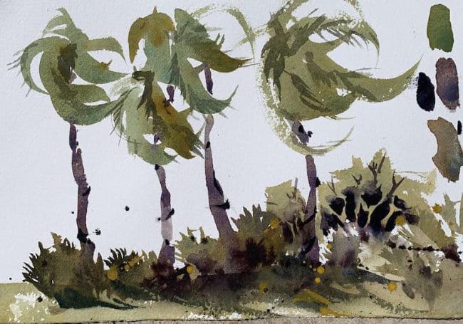 Tropical palmettos and palms with one-stroke fronds