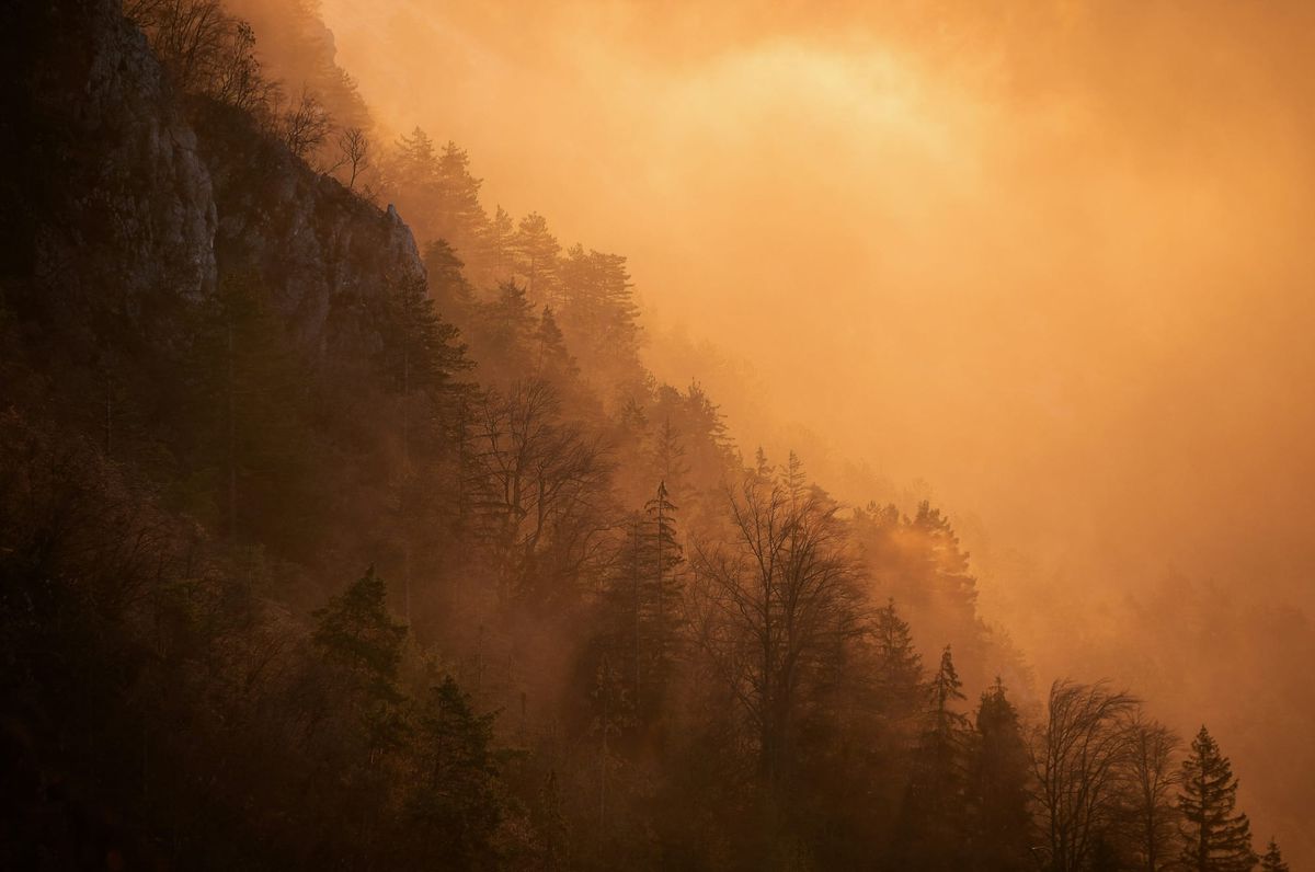 Rock, Water, and Wire