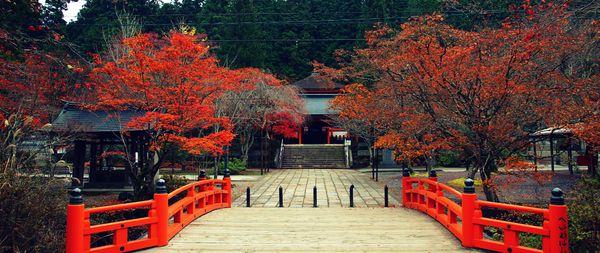 Koyasan - Partying With the Monks