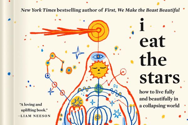 I Eat the Stars by Sarah Wilson
