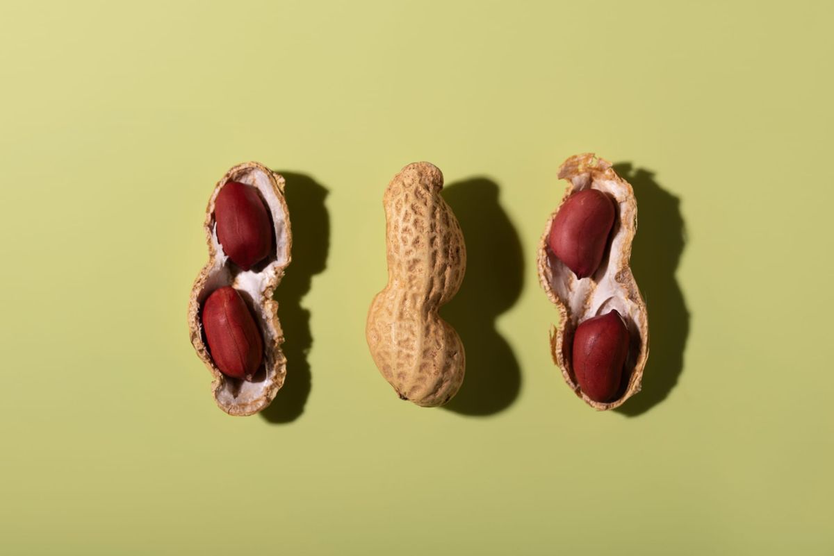 In 1987, in Florida, a peanut quietly stopped making an enzyme by accident.