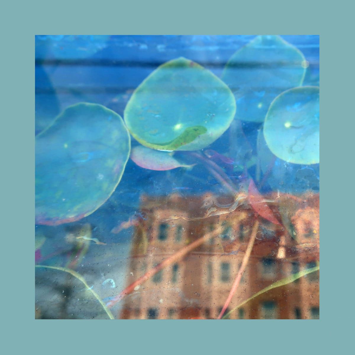 The Reds, Pinks & Purples, 'Acknowledge Kindness'