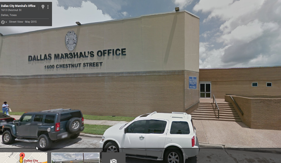 Feeding Stray Animals Is Apparently Illegal, According To The Dallas Marshal's Office