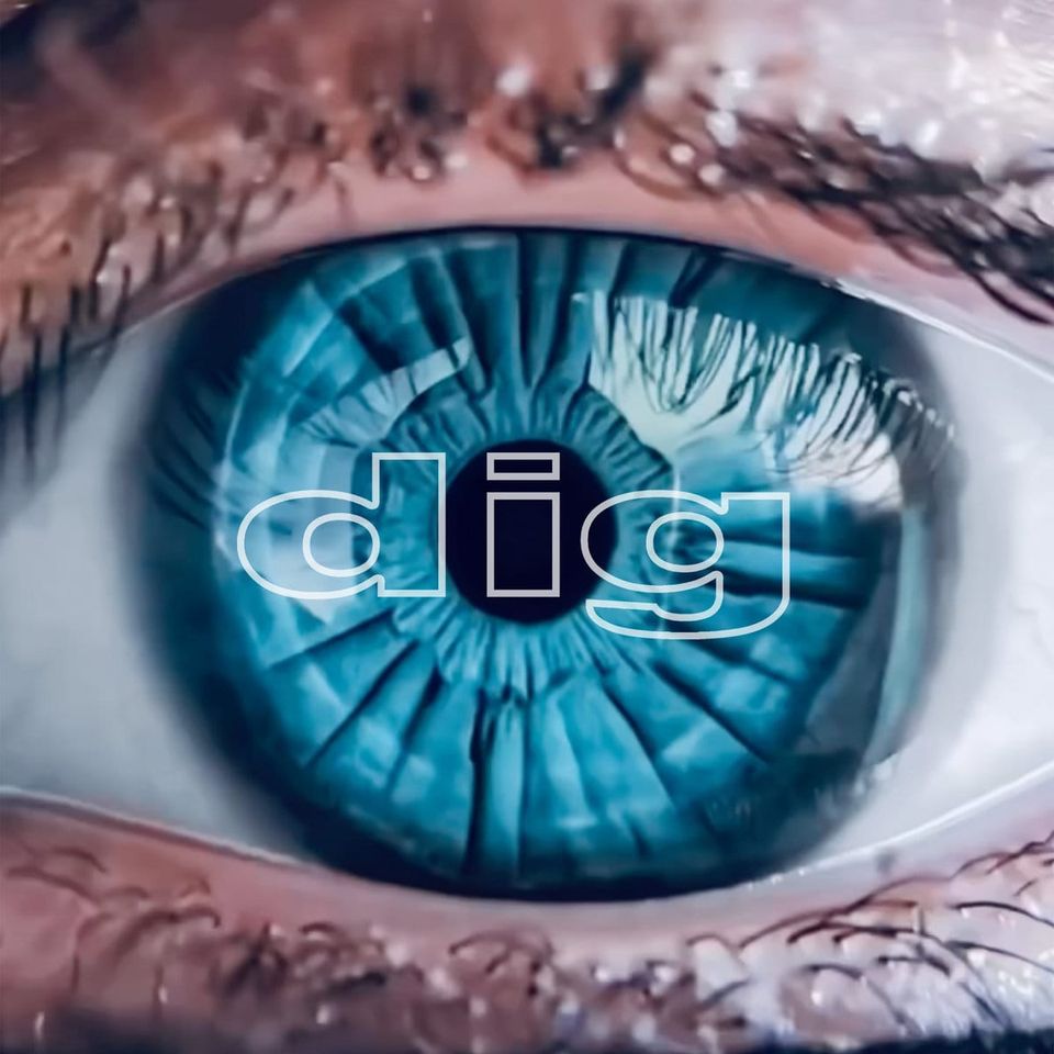 “Nothing Is Forever, But Dig Is Back: A 25-Year Echo That Hits Hard”