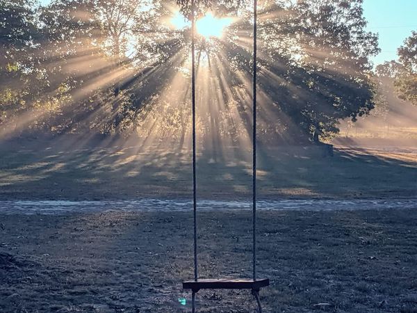 Different Kinds of Wealth