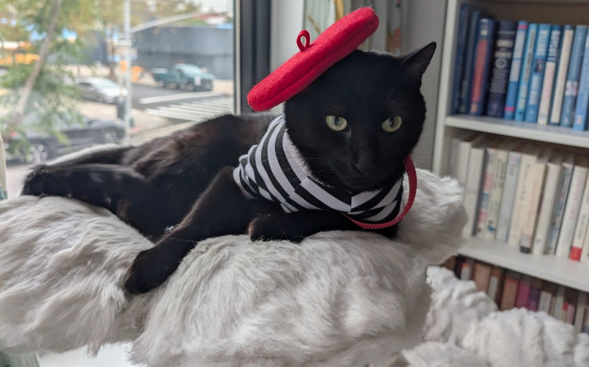 Caturday Evening Post Vol. 2