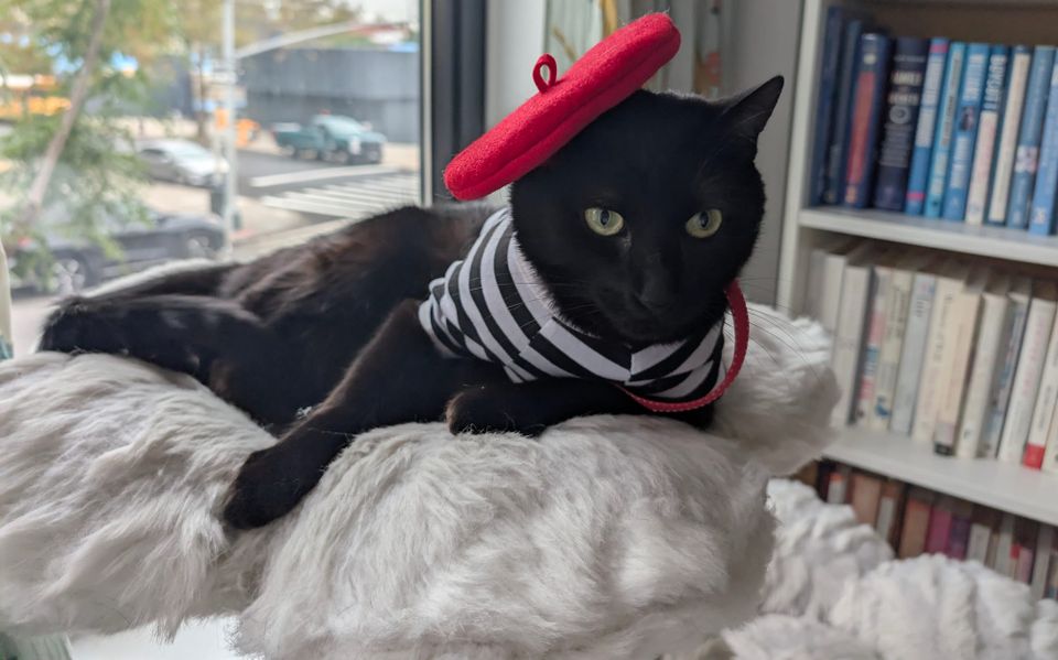 Caturday Evening Post Vol. 2