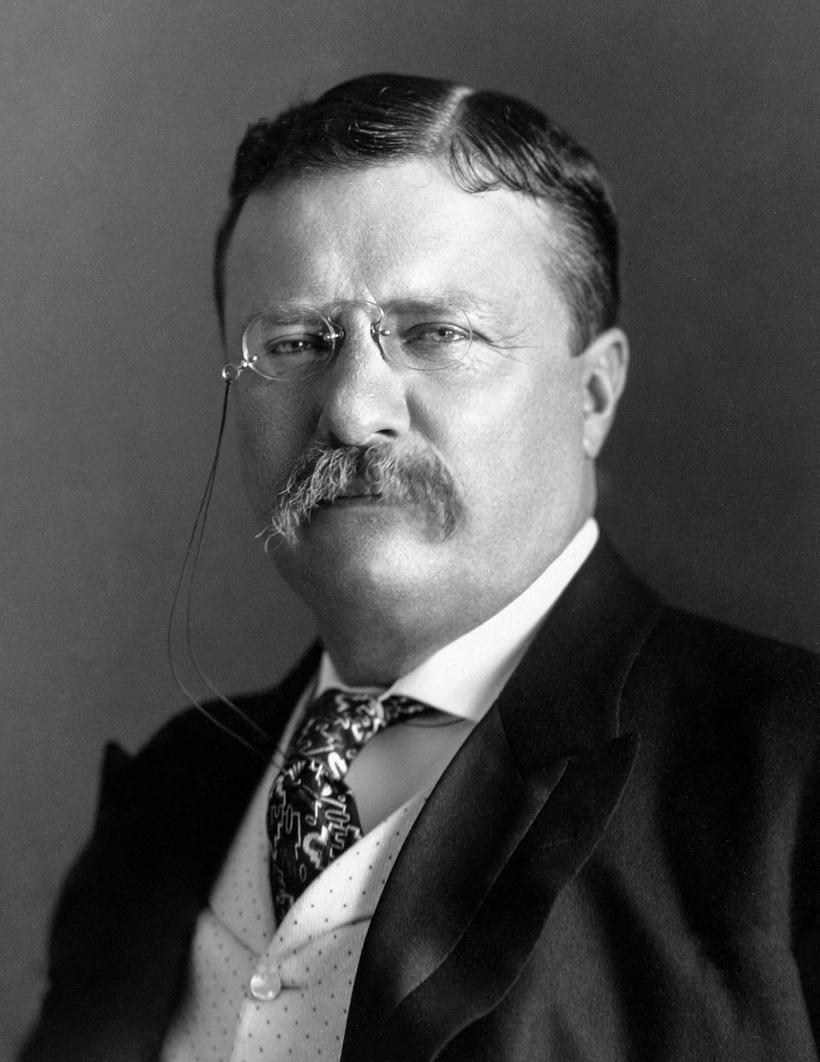 Theodore RooseveltBy Pach Bros. - This image is available from the United States Library of Congress's Prints and Photographs divisionunder the digital ID ppmsca.35645.This tag does not indicate the copyright status of the attached work. A …