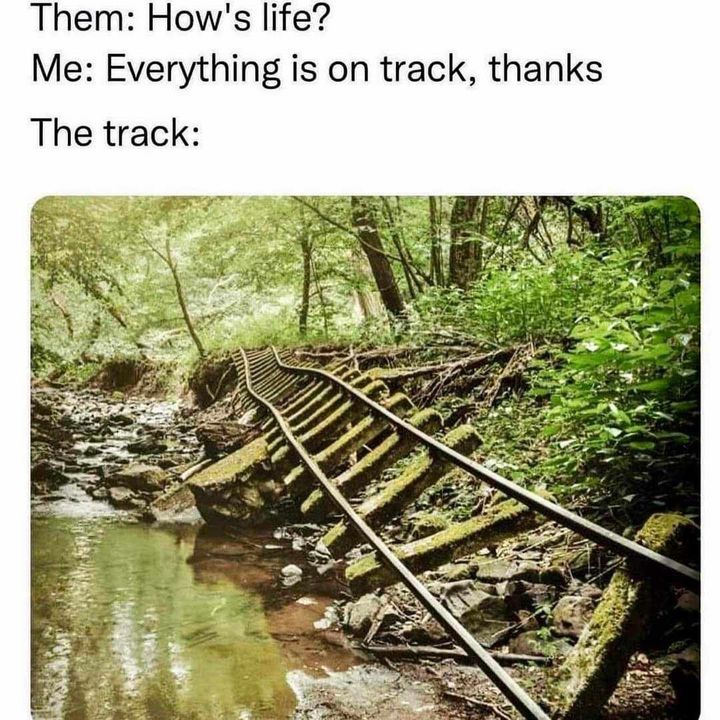 WBH Weekly Digest 2023-09-02: On Track