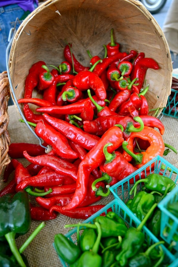 North_Park_Farmers_Market_3 North Park Farmers Market