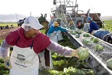 SuperStock_1848-249753