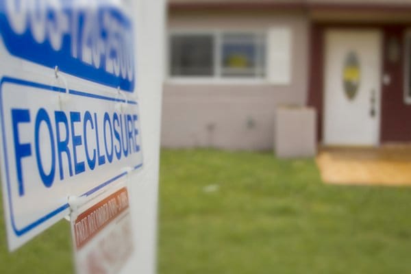 DavidPino Photography // Shutterstock.com