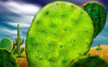 green-cactus-20312