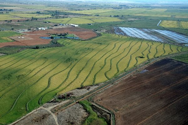 DWR-Delta-patterns-14