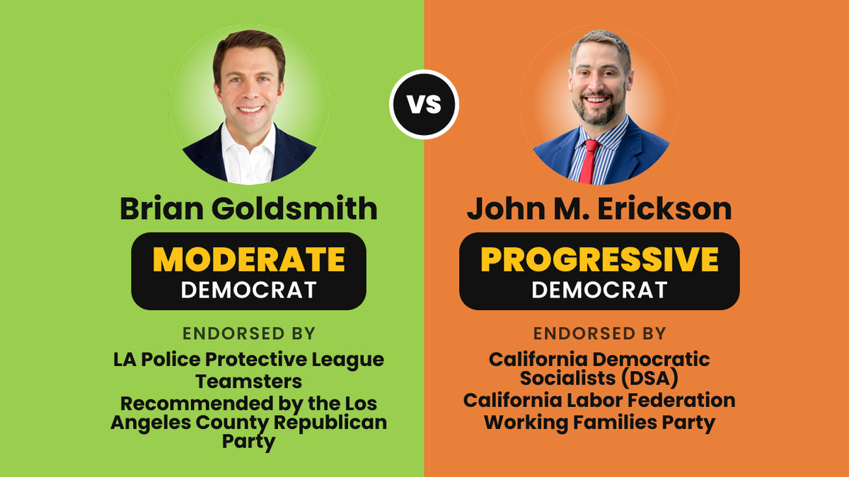 Brian Goldsmith (Moderate Democrat) vs. John M. Erickson (Progressive Democrat), Senate District 24