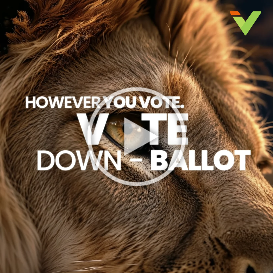 However you vote, vote down-ballot
