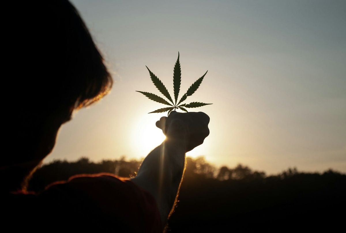 On Top of New Tariffs and Proposed Vape Ban, Calif. Cannabis Retailers Also Face an Excise Tax Hike