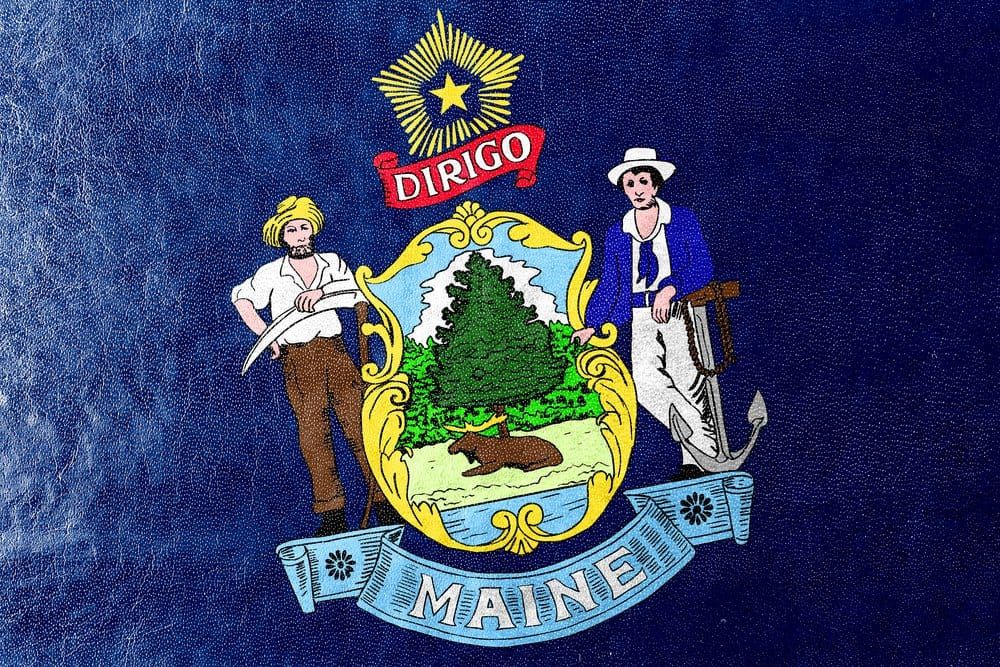 Independent Candidate Terry Hayes Vies for Vulnerable Governor's Seat in Maine