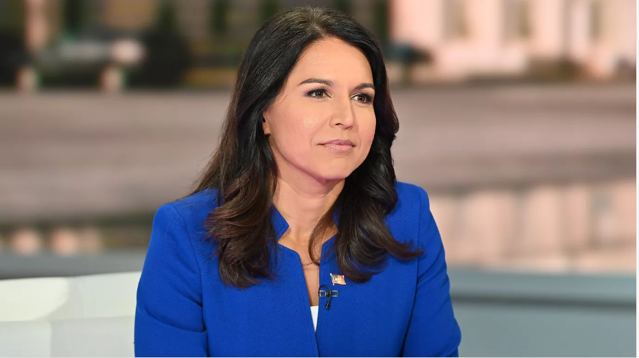 Tulsi Gabbard Tells DNC Candidates to Stop Fundraising Off Impeachment