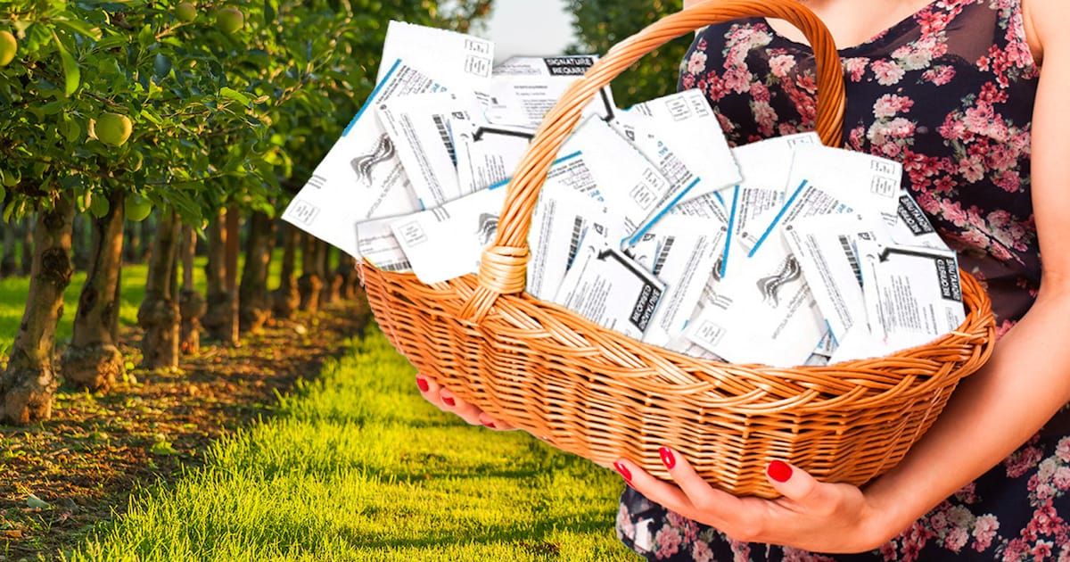 Beware The Harvest: What Tops the 6 Downsides of an All-Mail Election