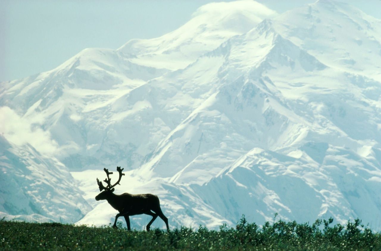 With Support from Both Alaska Senators, Trump Cabinet Members Tour the North Slope and Move to Reverse Alaska Drilling Protections