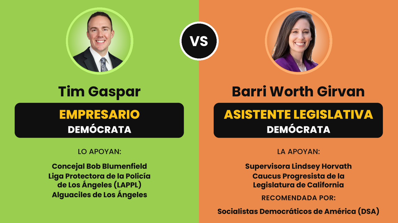 Tim Gaspar (empresario demócrata) vs. Barri Worth Girvan (asistente legislativa demócrata), Distrito 3 del Concejo Municipal de Los Ángeles