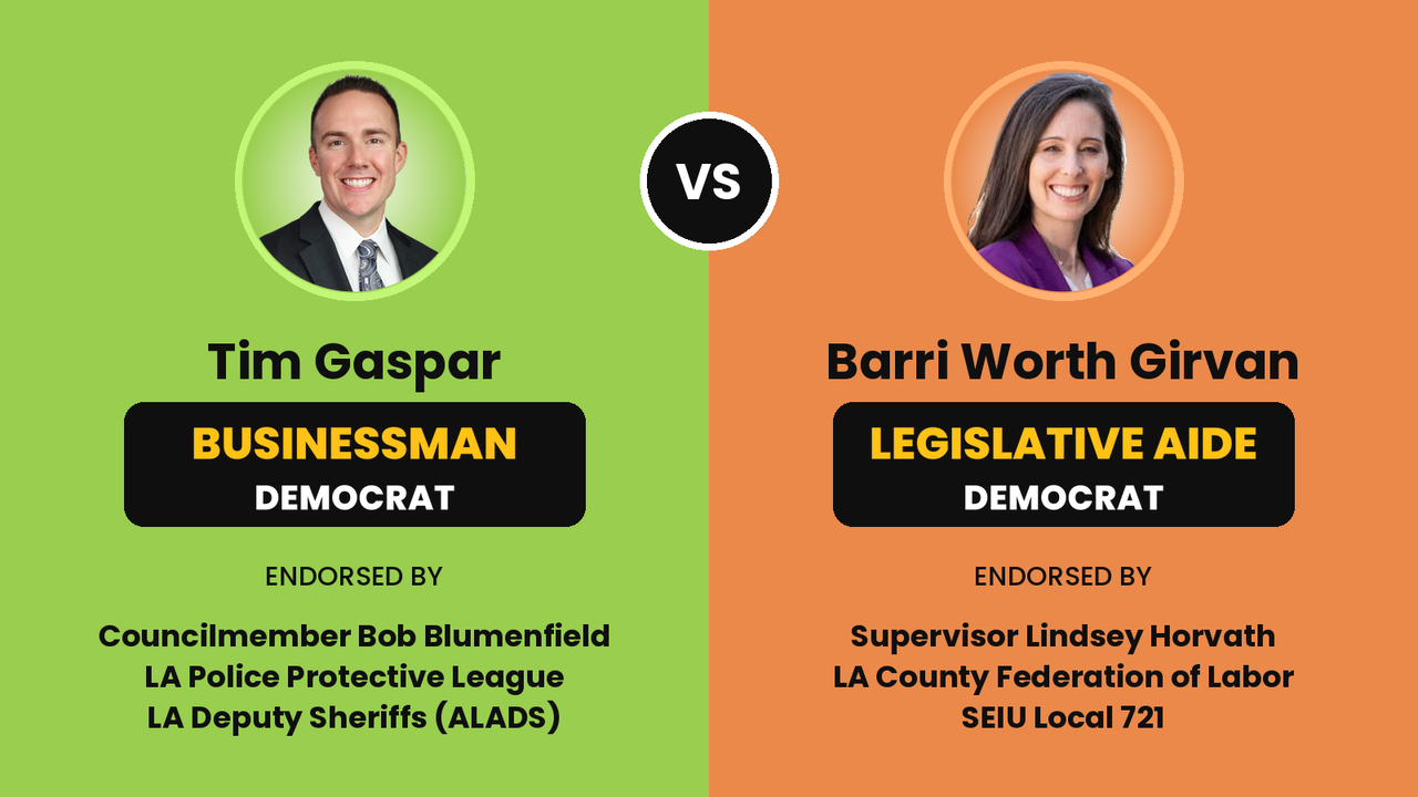 Tim Gaspar (Businessman Democrat) vs. Barri Worth Girvan (Legislative Aide Democrat), Los Angeles City Council District 3