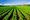 A Farm Bill to Save The Earth, Fix Health Care, and Create Jobs