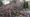 Ukraine: New Evidence of a Coup
