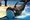 CA Legislative Committee Sends SeaWorld Bill to 'Interim Study'