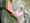 GAO Report: DoD Turns Blind Eye to Wrongful Discharges in Military