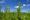 47 U.S. Representatives Co-Sponsor Bipartisan Industrial Hemp Farming Act