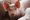 Hog-Tied: How Both Parties and Big Ag Have Thwarted Public Health Regs in N.C. (Part 1)