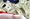 POTUS Campaigns Tout Millions in Donations -- But Will It Matter?