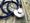 Repeal or Modify: 2016 Field Discusses Future Plans for Obamacare