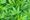 San Diego Councilman Mark Kersey To Introduce Marijuana Tax Measure