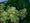 Marijuana Prohibition Loses Ground to Modern Federalism