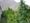 A History of Cannabis' Legal Status in America