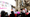 Women’s March: What’s That Word? Intersectionalism?