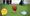 Can the NFL Make It to the Super Bowl During This COVID Season?