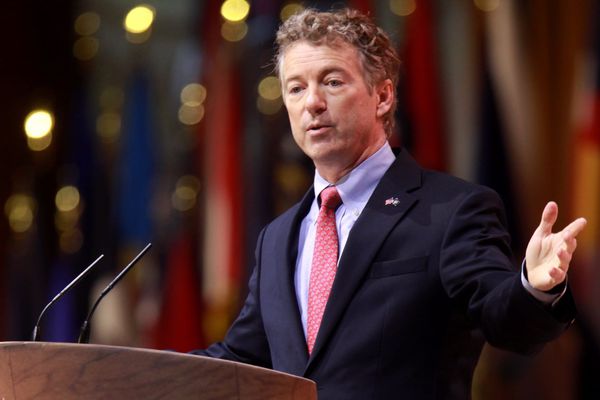 Why Rand Paul Calls Trump's Tariffs a Harmful Tax on Americans