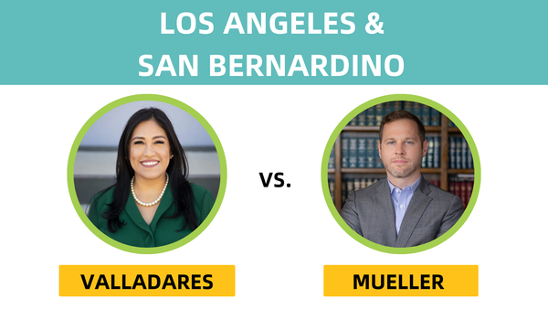 Senado de Distrito 23: ¿Puede un Demócrata Progresista Tornar a Azul este Puesto Republicano?
