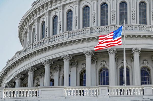 Parental Proxy Voting Effort in Congress Gives Independent Voters Hope