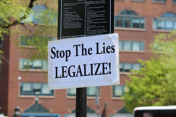 8 States Just Legalized Marijuana for Recreation or Medicinal Purposes