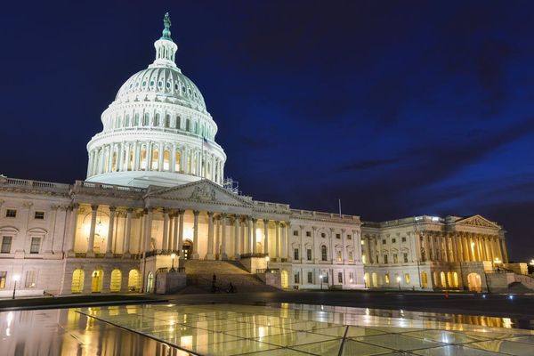 Draining the Swamp: Constitutional Amendment for Term Limits Will Be Introduced Next Year