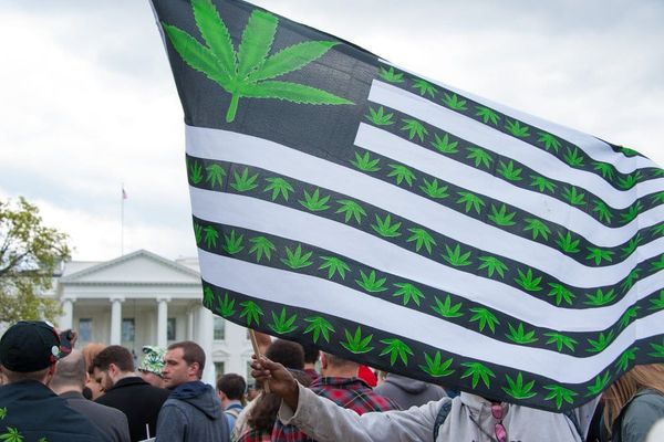 Marijuana Policy Project: Trump Administration's Stance on Prohibition Enforcement 'Promising'