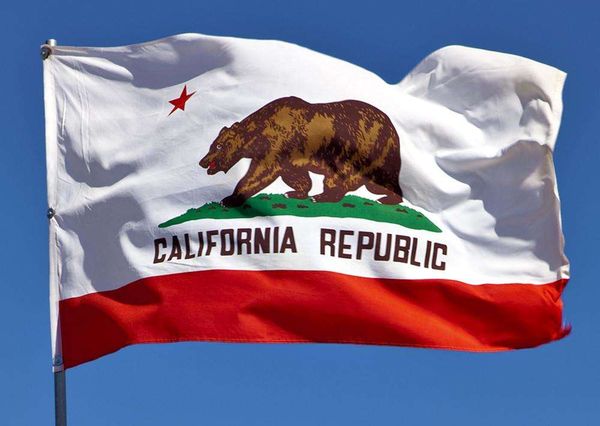 What Exactly is an NPP Candidate and Could Two Reach the November General Election in CA?