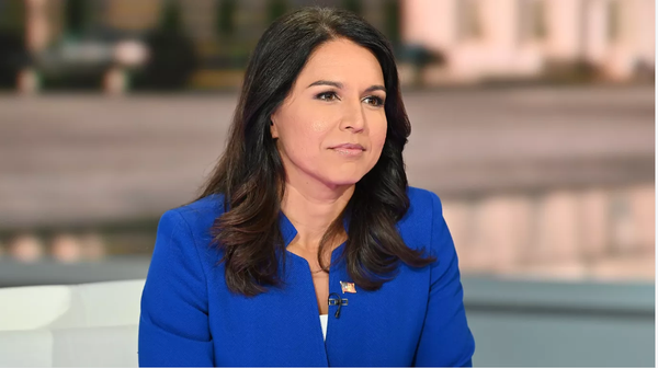 Tulsi Gabbard Tells DNC Candidates to Stop Fundraising Off Impeachment
