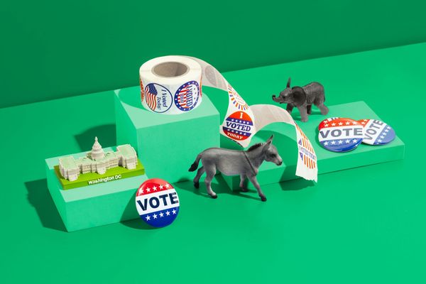 Pew: Half of US Voters Would Replace Trump AND Biden on the Ballot If Given Chance