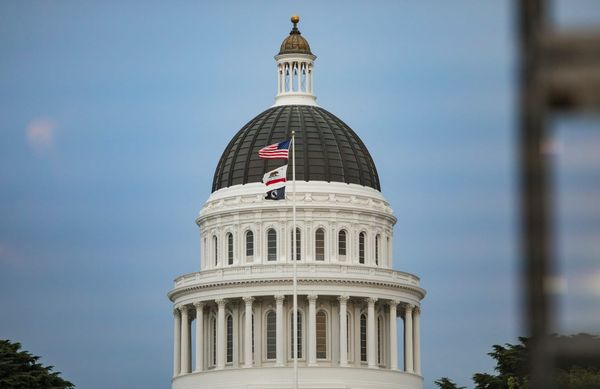 Why is CA Senator Mike McGuire Trying to Kill the Legal Cannabis Industry?